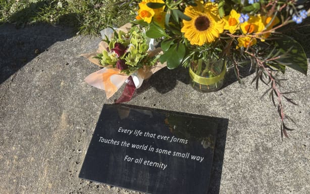 Stillborn boy discovered on side of Marlborough road laid to rest | RNZ