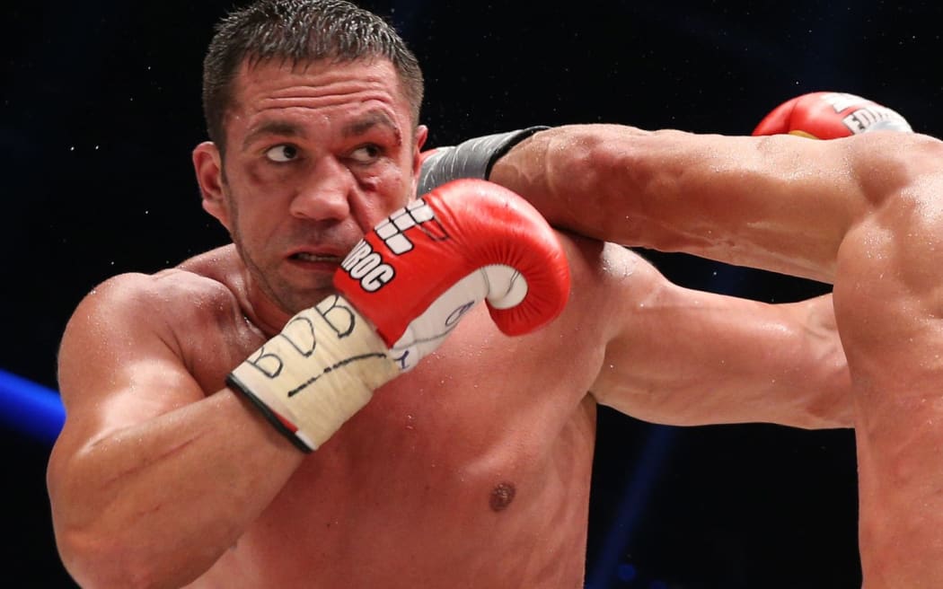 Wladimir Klitschko fights Kubrat Pulew of Bulgaria in Hamburg last year.