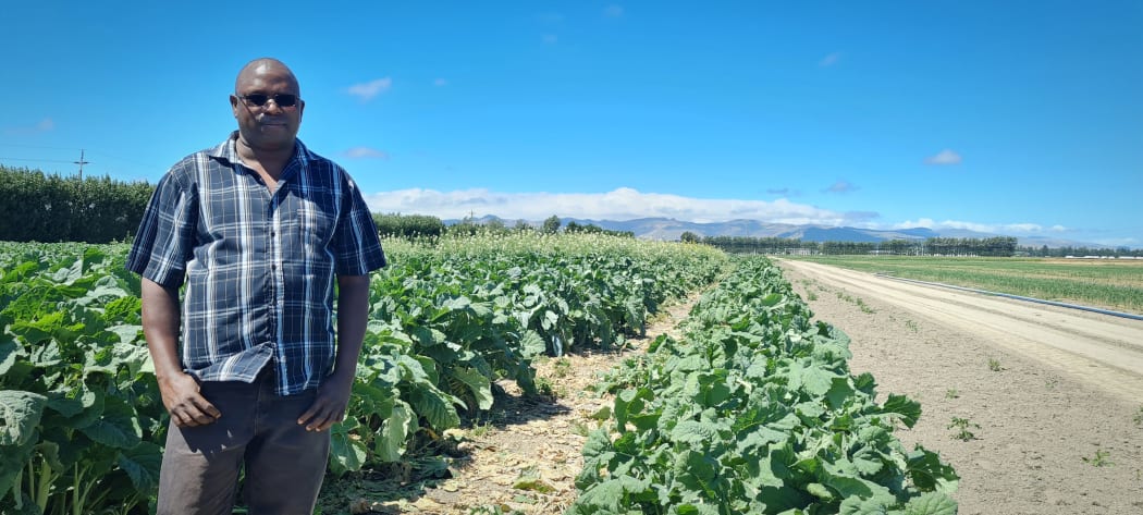 Emmanuel Chakwizira, crop scientist, Plant and Food Research, Lincoln.