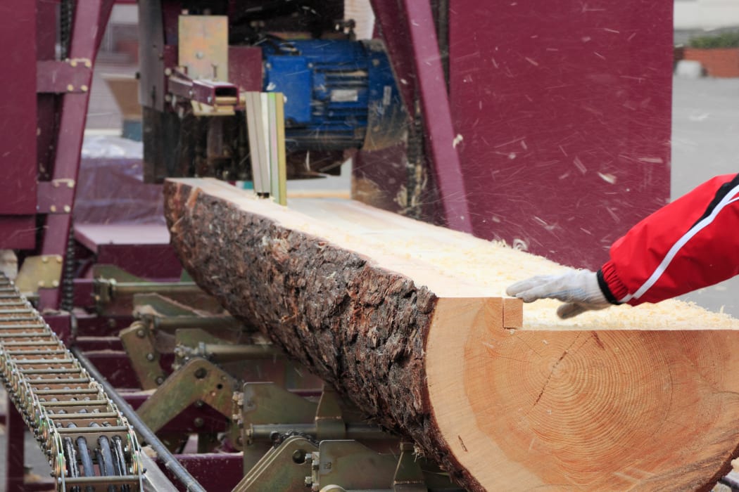 Sawing boards from logs with circular sawmill.