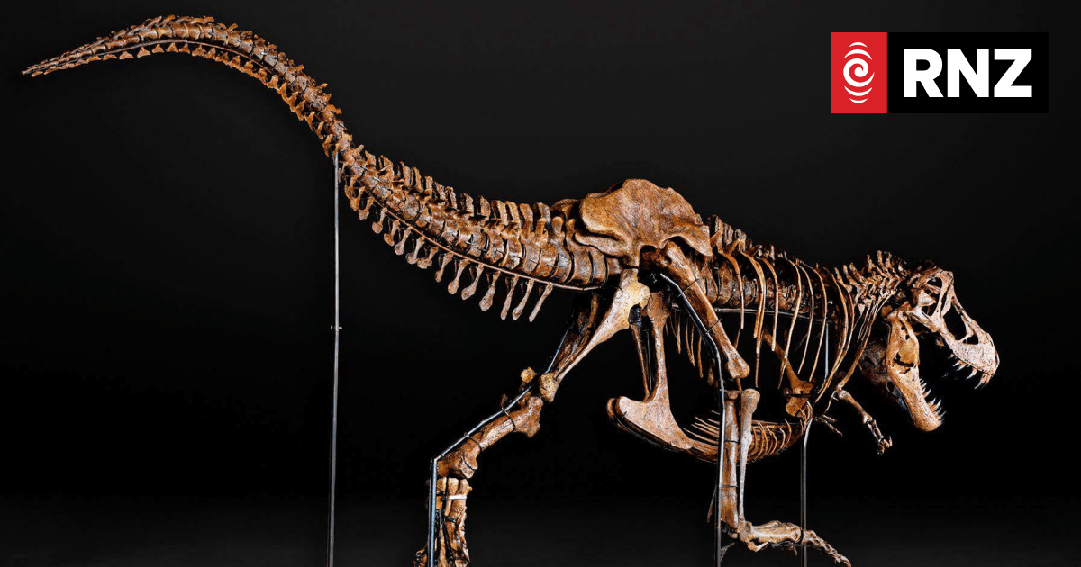 T Rex Umanoide