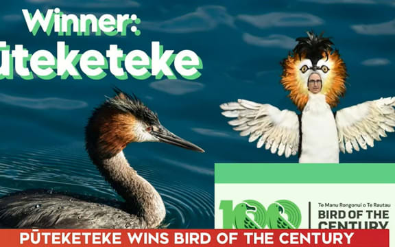 Bird of the Century winner announced live on TVNZ Breakfast.