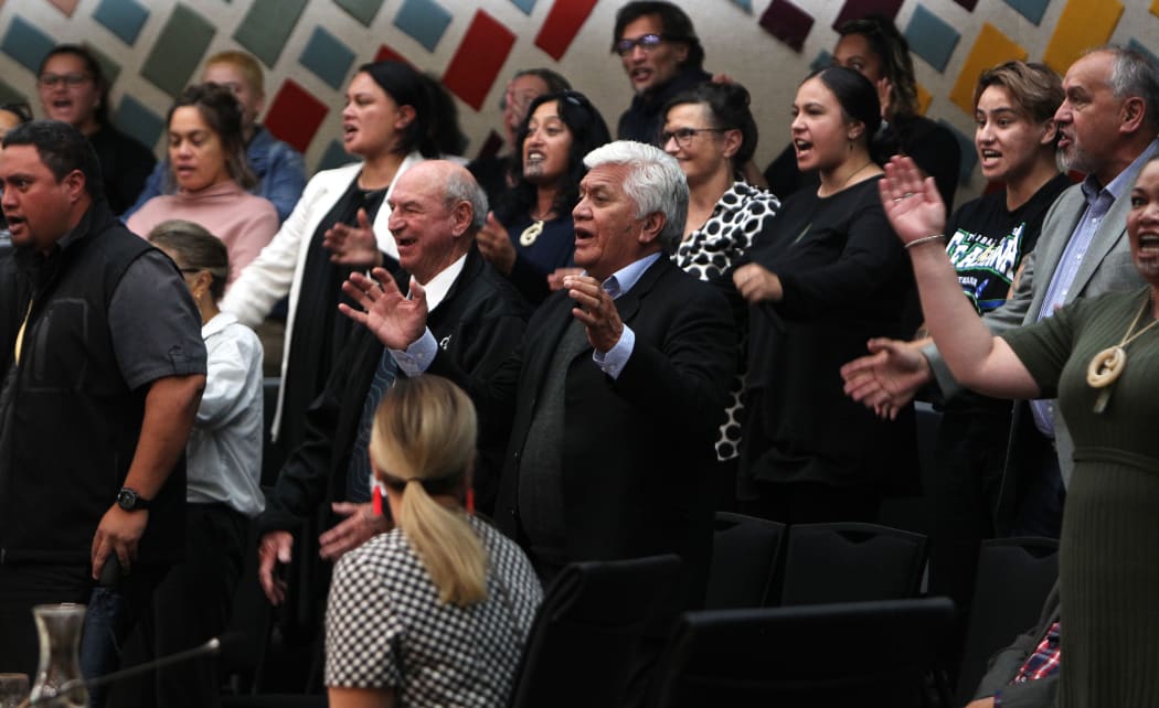 About 80 people filled the public gallery at the Rotorua Lakes Council chamber.