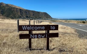 Dogs are to be allowed at Ngawi campsite in Wairarapa, despite dog control officers' advice.