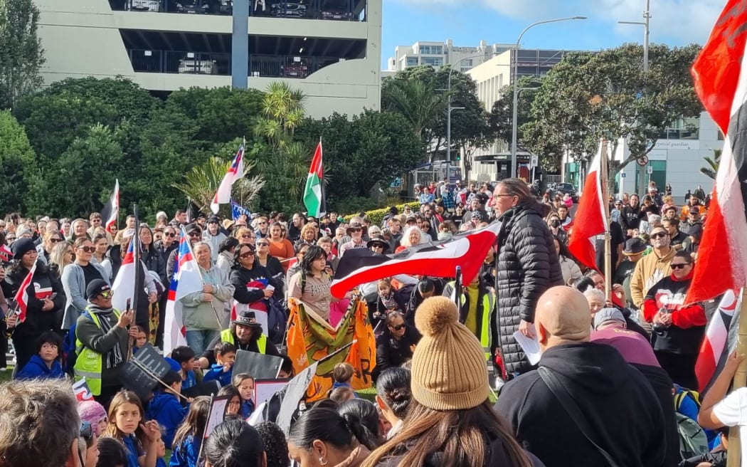 Hundreds attended the Budget Day protest in New Plymouth's Puke Ariki Landing.
