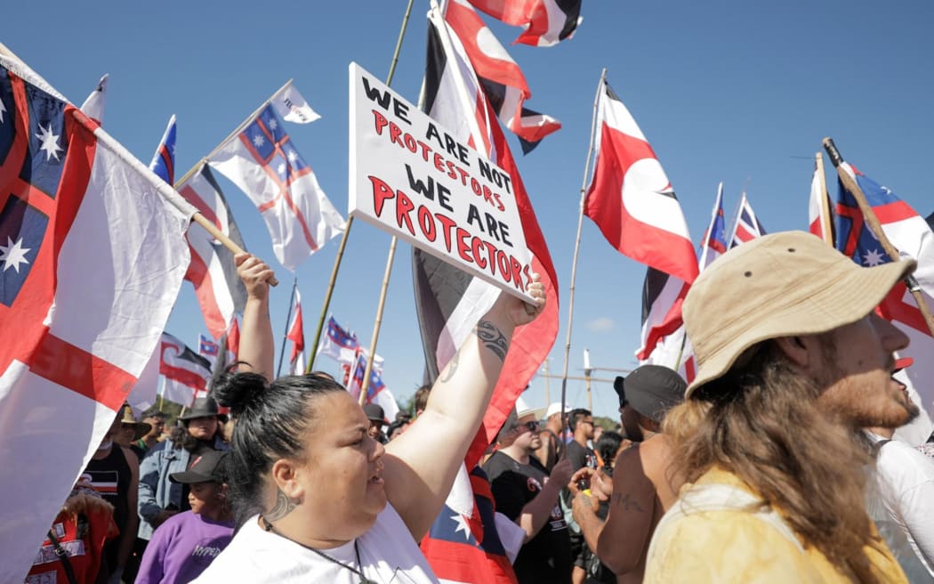 A woman who is part of the hikoi to Waitangi holds up a sign saying "We are not protesters, we are protecters".