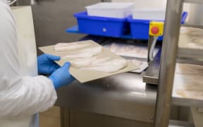 Sanford whitefish processing in Timaru