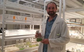 Jonathan Puddick and flasks containing the living collection of microalgae that is housed at the Cawthron Institute.