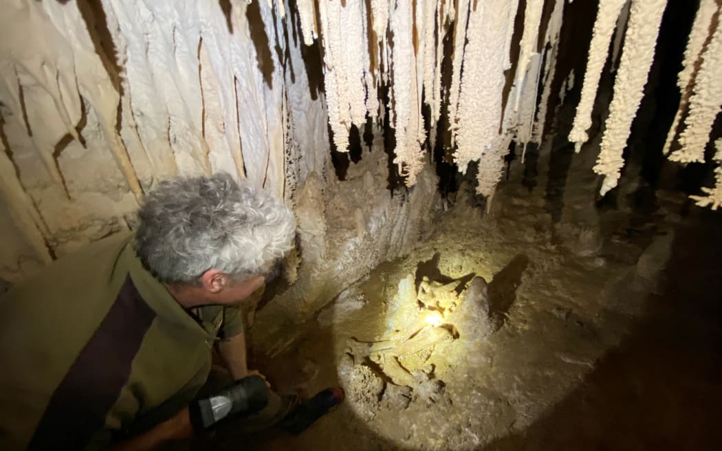Ben Stubbs inside Ann's cavern inspecting moa bones.