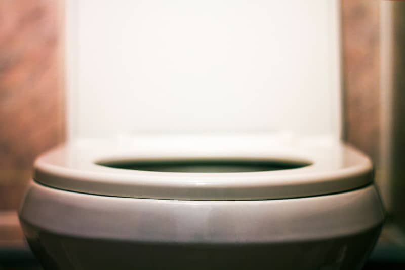 World toilet day