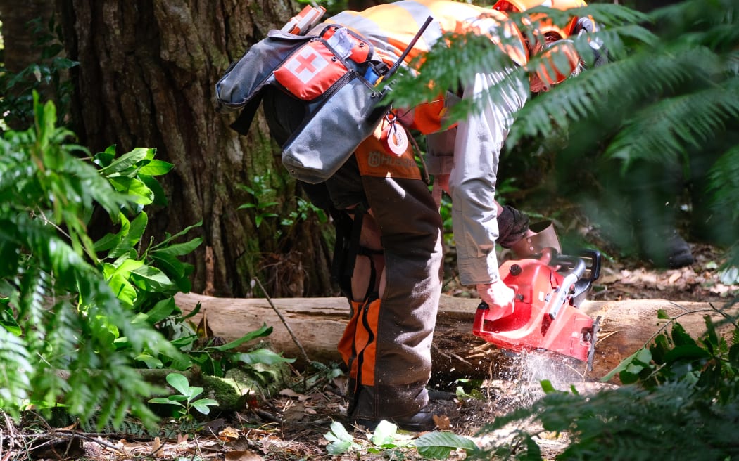 Clearing the tracks.
