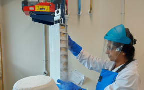 Liya Mathew from Plant and Food Research working on a cryopreservation project