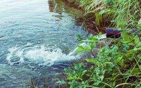 Sewage flows from a pipe into into a waterway.
