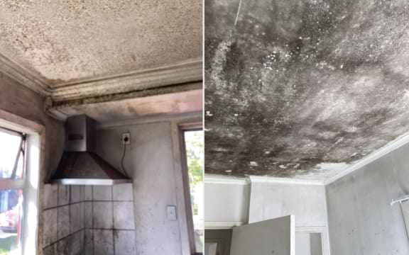 An example of mouldy homes seen by the technicians of Restate company.