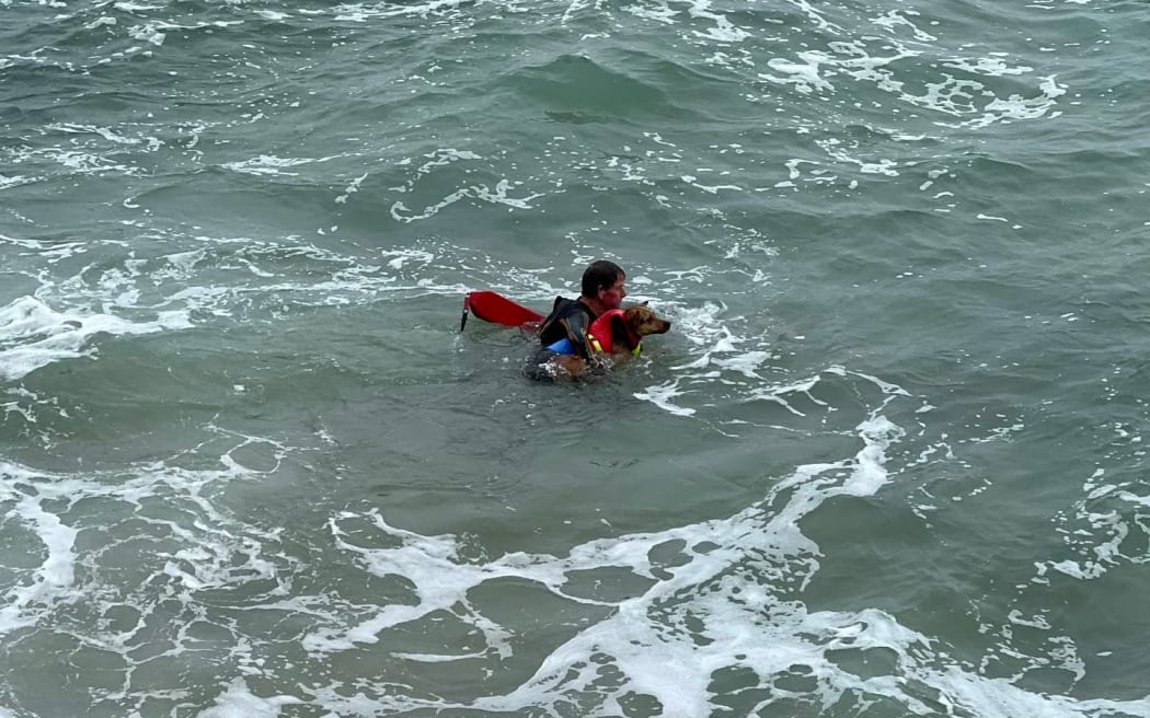 Waipū Cove volunteer surf lifesaver Rick Stolwerk swims to shore with Raro the dog tucked under his arm.