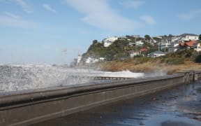 Sea swells Wellington's south coast.