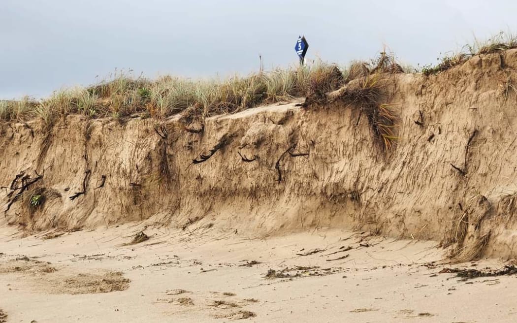Initial assessments show the east coast between between Cooks Beach and Matarangi to be the hardest hit by Cyclone Hale.