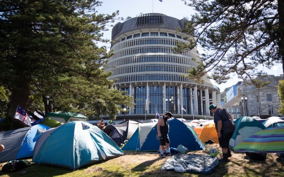 Anti-vaccine, anti-mandate protest in Wellington on Parliament grounds on 16 February 2022.