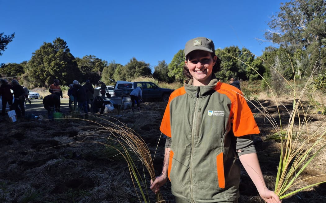 Hawke's Bay community makes big effort to restore native A'Deane's Bush ...