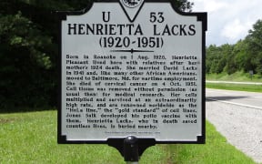 A sign in Roanoke, USA, describing Henrietta Lacks' contribution to science.