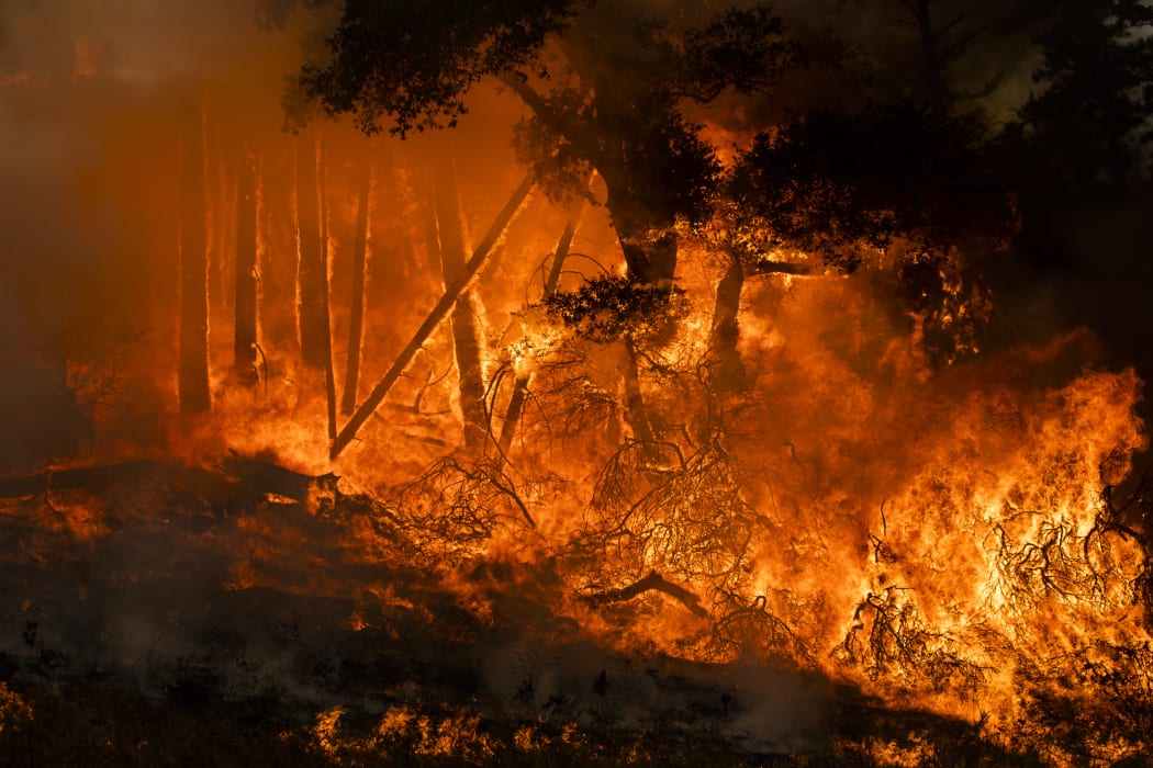 Fire burns along a hillside during firefighting operations to battle the Kincade Fire in Healdsburg, California on 26 October, 2019.