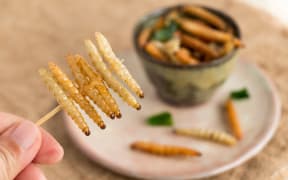 Eating insects