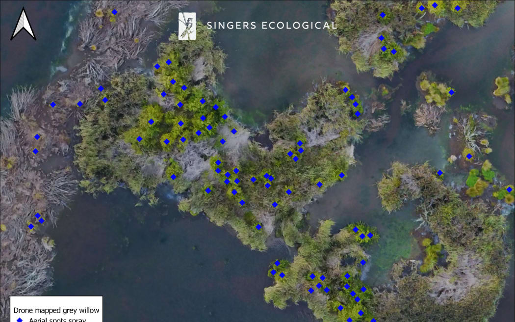 An aerial image of a vegetated lakeside, with individual green trees and shrubs marked with blue dots.
