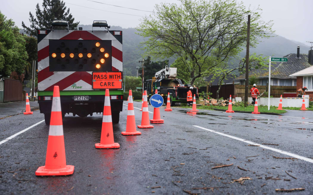 Contractors remove a tree that fell in Pine Avenue, Upper Hutt. The tree lifted the ground and crashed down across a pavement and into a nearby property.