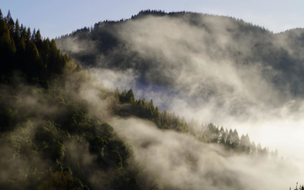 Mist around the hills near Tutira.