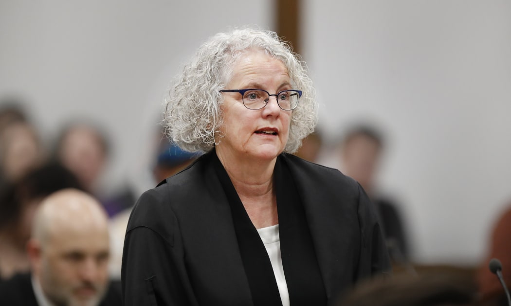 Victoria Casey, QC, is representing the The Director-General of Health Ashley Bloomfield and the Attorney General in Borrowdale's civil claim.