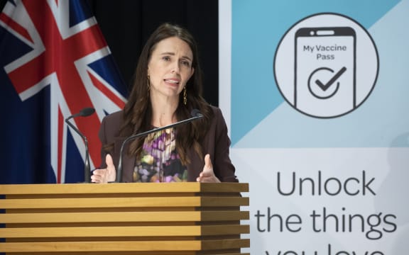 Prime Minister Jacinda Ardern during the post-Cabinet press conference.