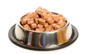 Petfood