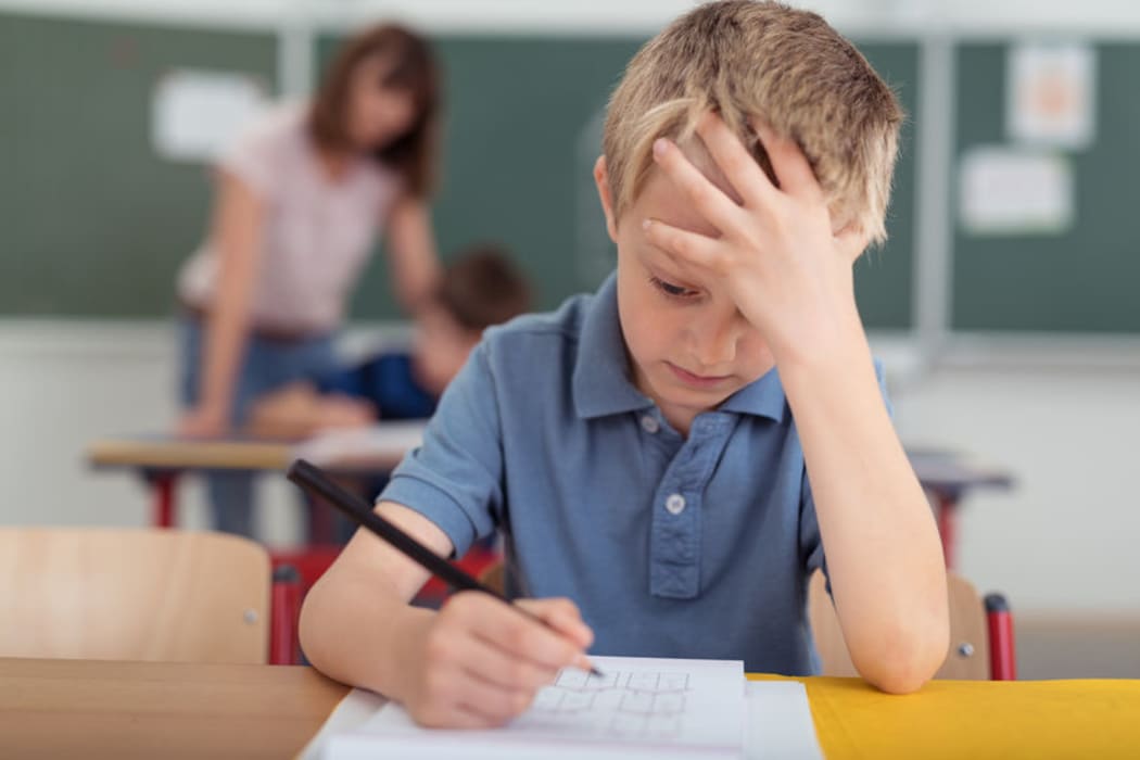 The report said schools needed more resources and better training so they could provide an inclusive education.
