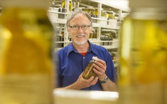 Andrew Stewart, curator of natural history at Te Papa