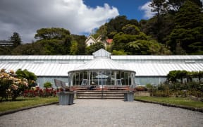 Begonia House in Wellington's botanical gardens