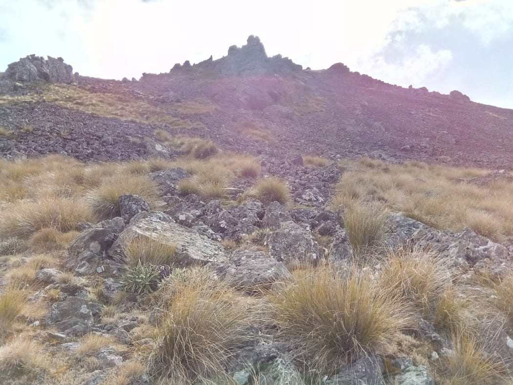 The summit of Mt Ellis.