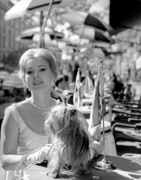 Actress Zsa Zsa Gabor in Rome during filming of 'La Contessa Azzurra', in 1959.