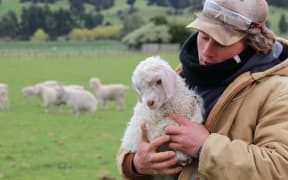 Hadley Boyle, who will be the fourth generation of his family to farm on Evertree.