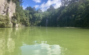 Green water in the Mangakino Stream which is a tributary of Waikato River on 24 December 2023.