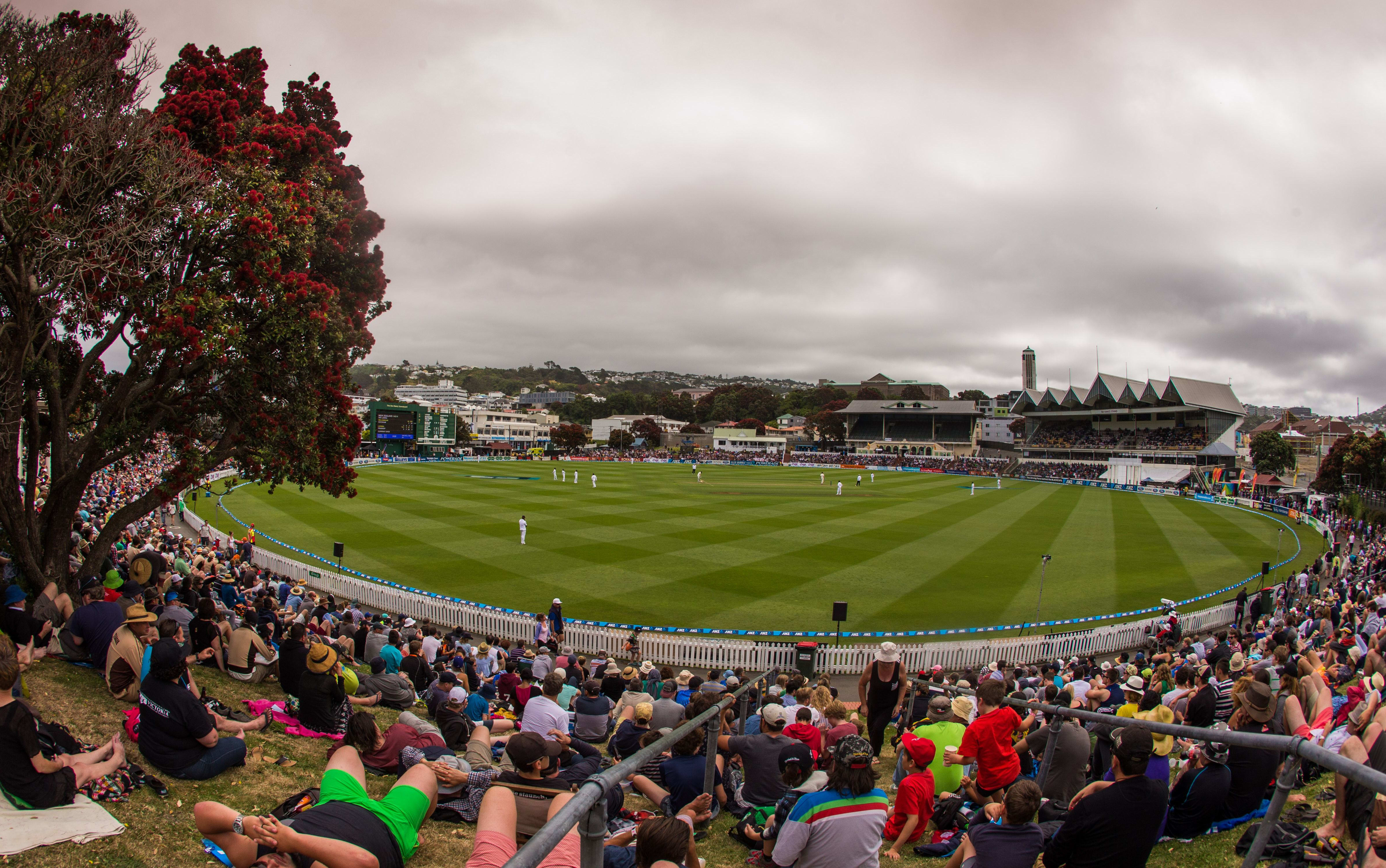 A good crowd at the Basin Reserve