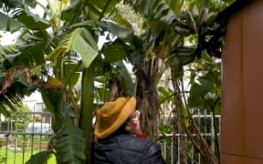 Haitelenisia Manu tending to her veg garden.