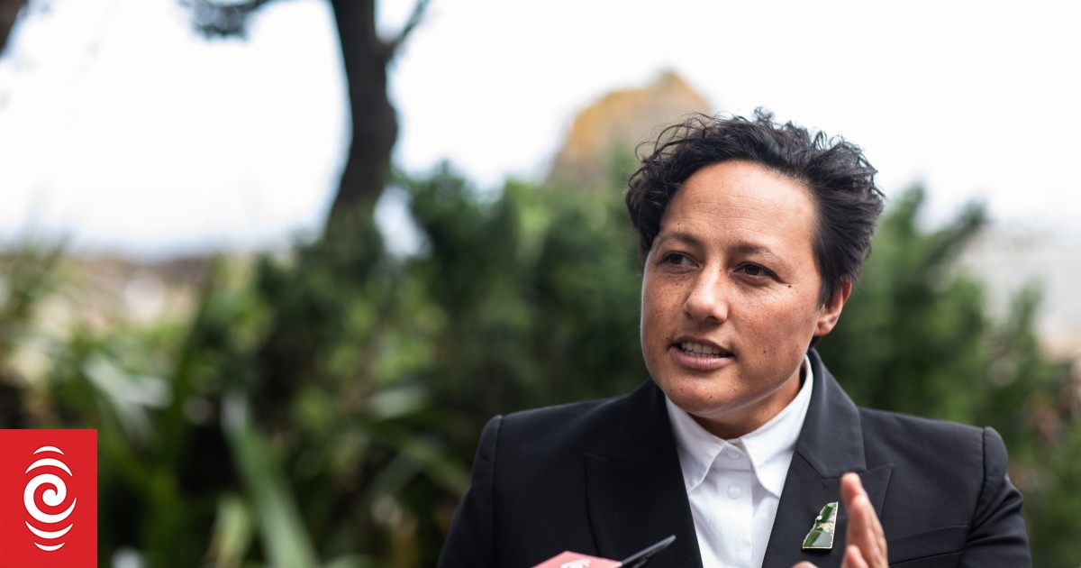 Former justice minister Kiri Allan pleads guilty to crash charges - Vimarsana News