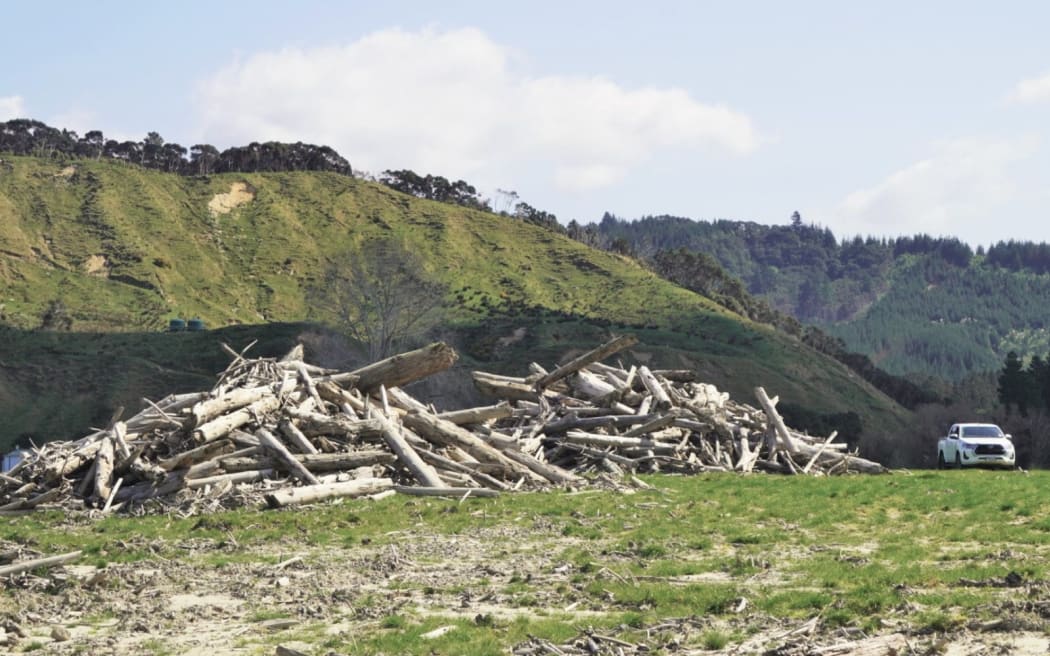Thousand of tonnes of logs washed down from forestry blocks, and now companies like Aratu are helping to clean up the mess.