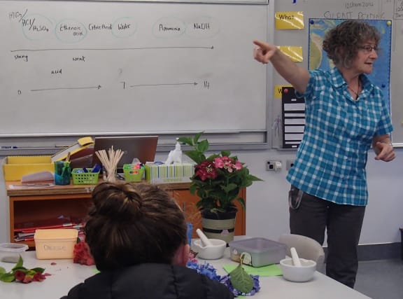 Science teacher Terry Burrell, from Onslow College in Wellington, has won the 2014 Prime Minister's Science Teacher prize. Here she is leading a lesson relating to the colour of flowers, and acids and bases.