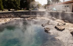 A hot pool in Government Gardens in Rotorua