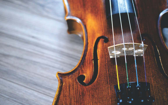 Violin