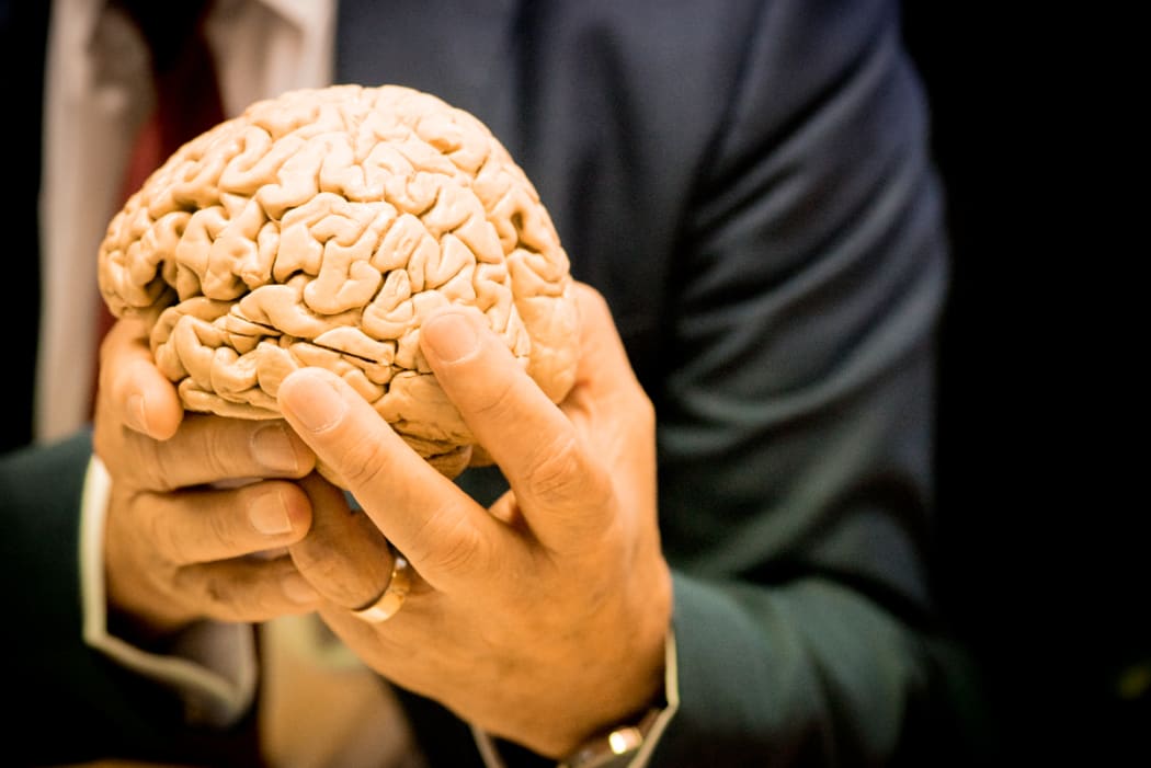 Sir Richard Faull holds a plastinated human brain.