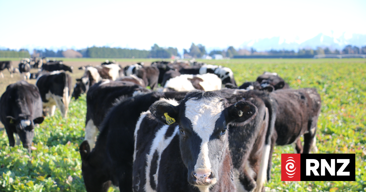 How RNZ Rural News Keeps New Zealand Farmers Informed