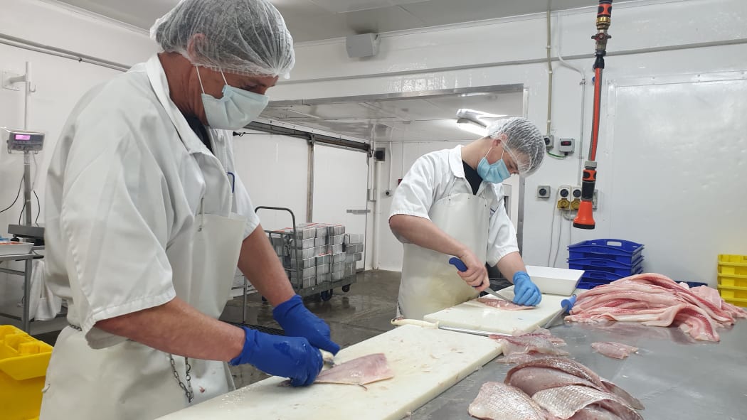 Darren Rogers and Joshua Davies hard at work at Egmont Seafoods.