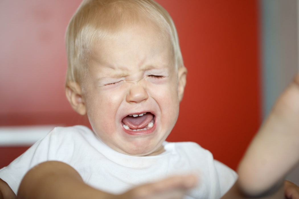 Small, crying and kicking toddler having a temper tantrum at home, defying parents. Childhood, developmental phase, hard parenthood concept.